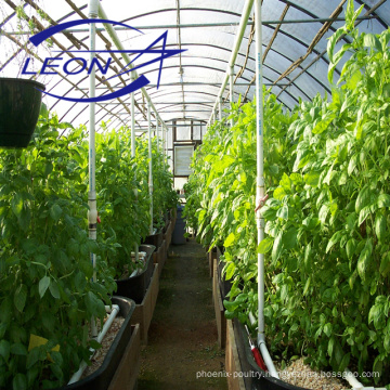 Leon series agriculture greenhouse equipment